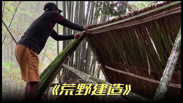 热带雨林中的新家