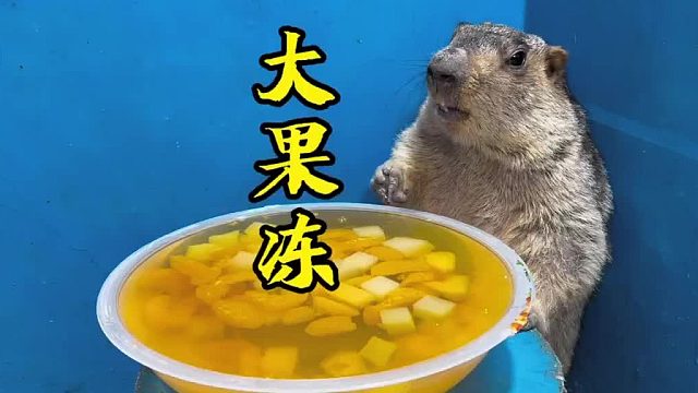 吃个大果冻吧！