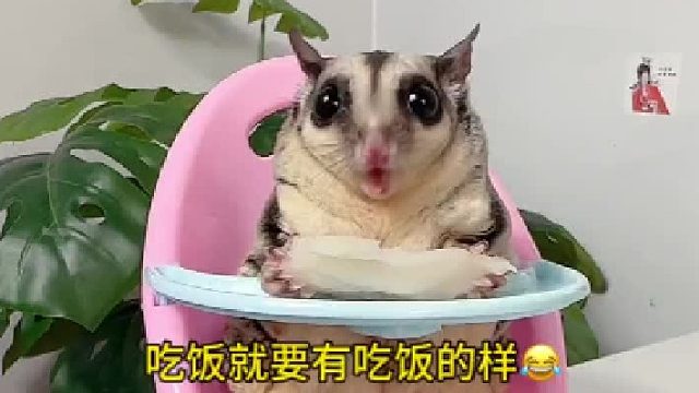 何须多虑盈亏事，人生小满胜万全。