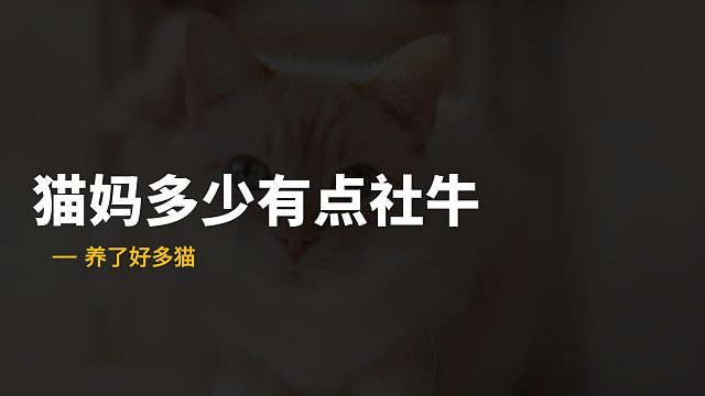 猫猫你呀，你还得多向你妈妈学习