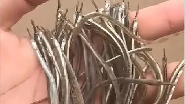 带你去体验渔民的生活