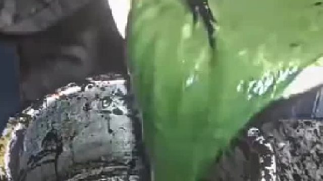 “做饭是男人最好的医美”