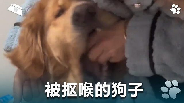 被抠喉的狗子，好可怜