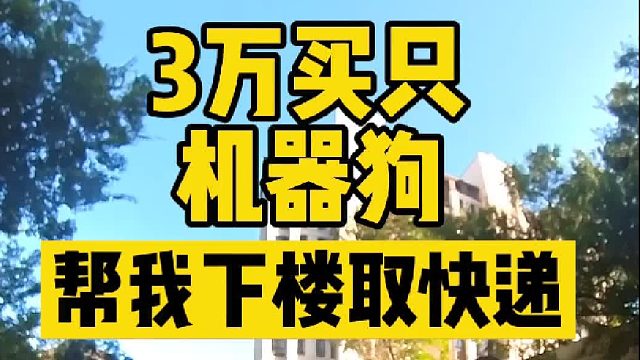 第一次用机器狗下楼取快递，真怕被人抱走了！