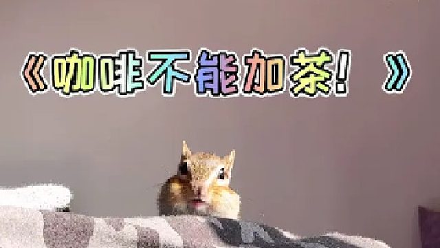 还好咖啡里不能加茶！