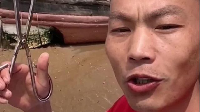 户外赶海抓海鲜
