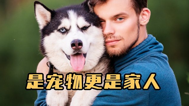 狗狗和主人的久别重逢，太感人了