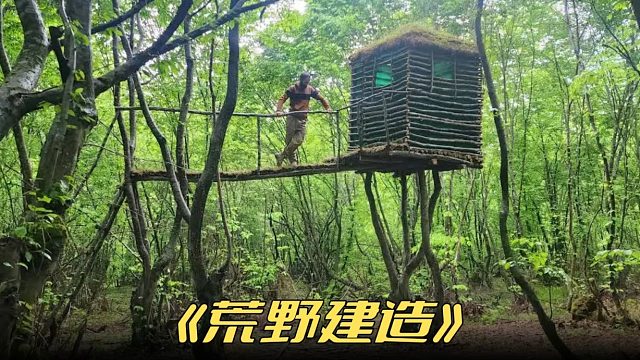 矗立在半空中的小树屋