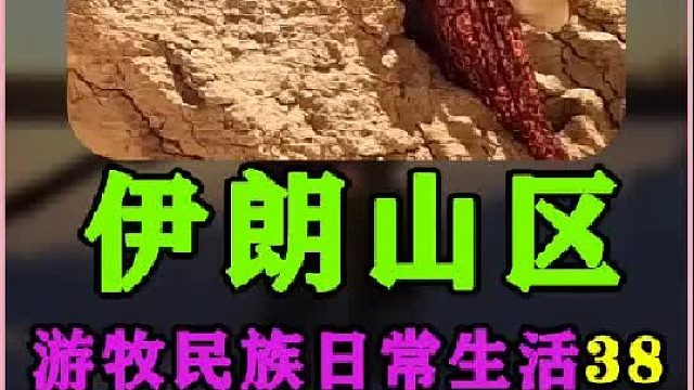 伊朗游牧民族日常生活走亲戚  (1)