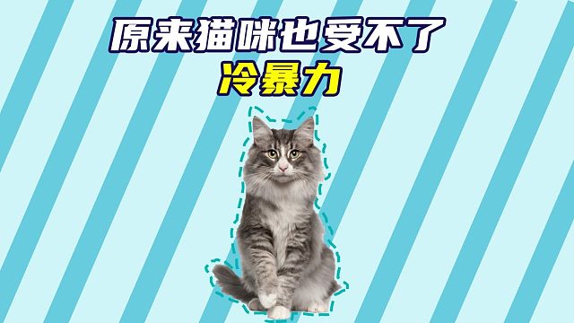 猫咪：这猫不仅像素低，还低素质！