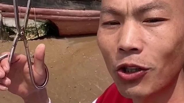 户外赶海抓海鲜