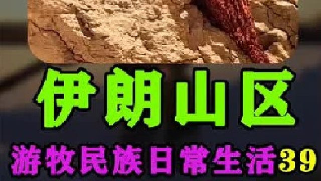 在山坡上的巨石下建造小屋