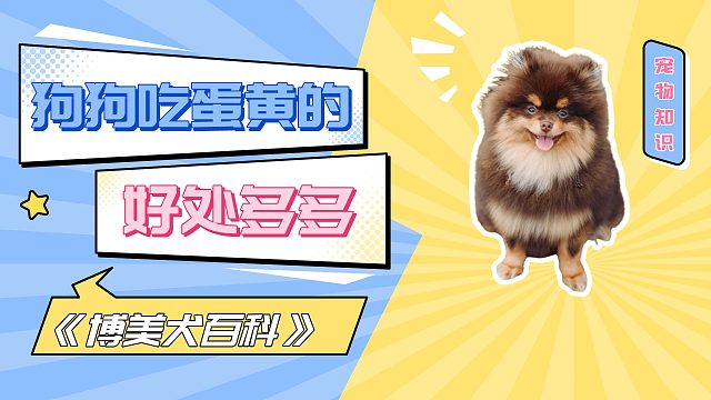 狗狗每天吃蛋黄的好处多多，都行动起来！