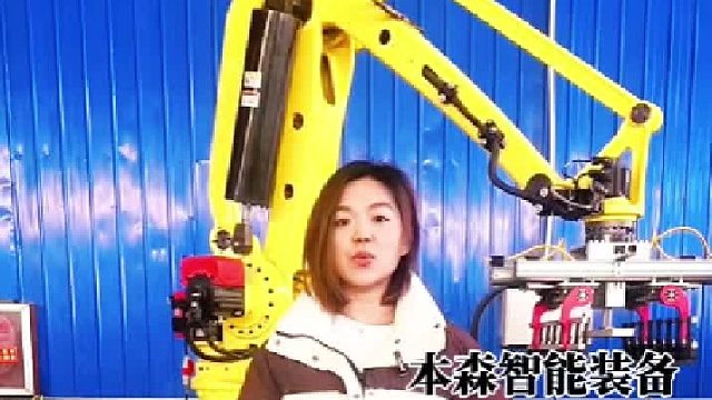 袋装染料码垛机械手工业机器人