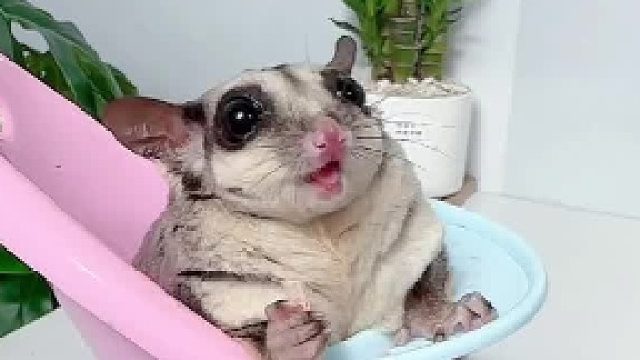 吃嘛嘛香，身体倍棒