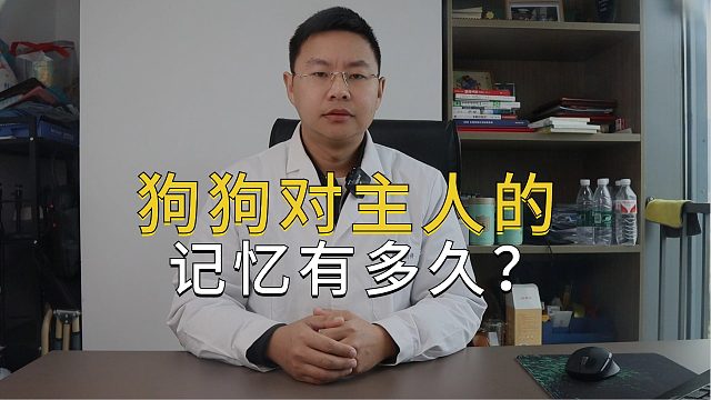 狗狗对主人的记忆有多久？它会忘记你吗？