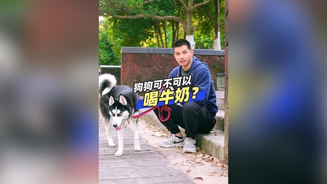 狗狗可不可以喝牛奶？