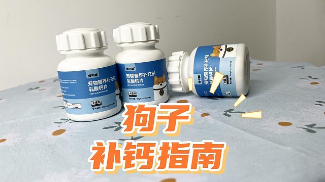 狗子补钙很重要，但应该怎么补？