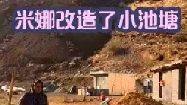 米娜为大鹅和鸭子改造了小池塘