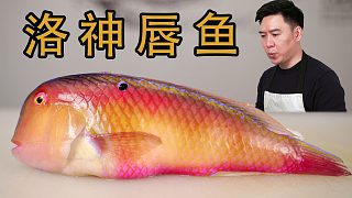 逛海鮮市場遇“紅新娘”魚，性感的我都舍不得吃它