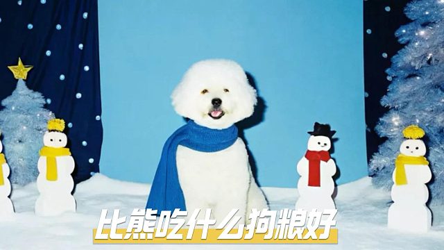 比熊吃什么狗粮好？这5款优质狗粮别错过！