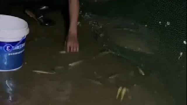 赶海赶海赶海啦