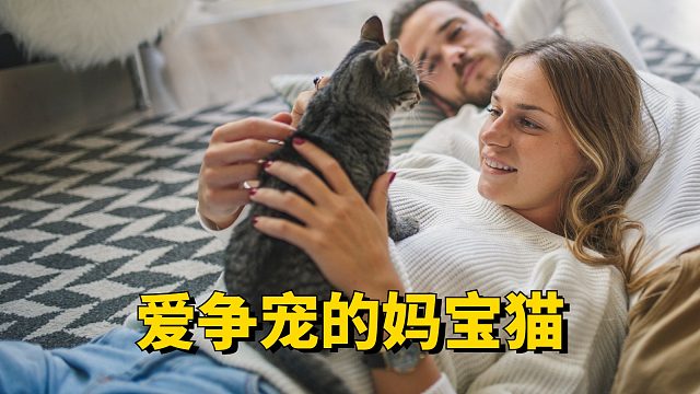爱争宠的妈宝猫，它竟然做出这种事！