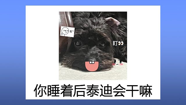 在你睡着后，泰迪会做什么？