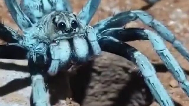 是谁，在敲打我窗？？