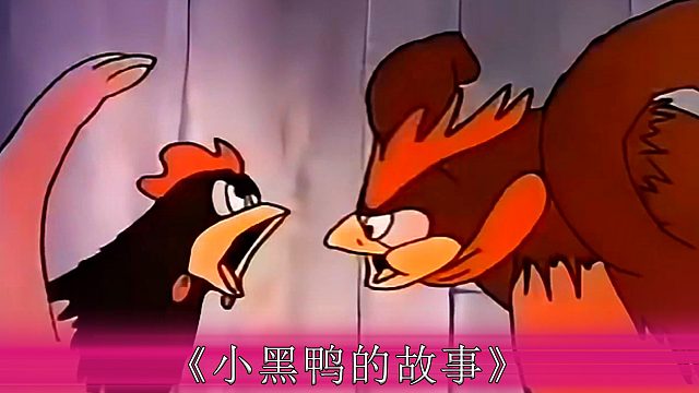 你见过这么豪横的大公鸡吗