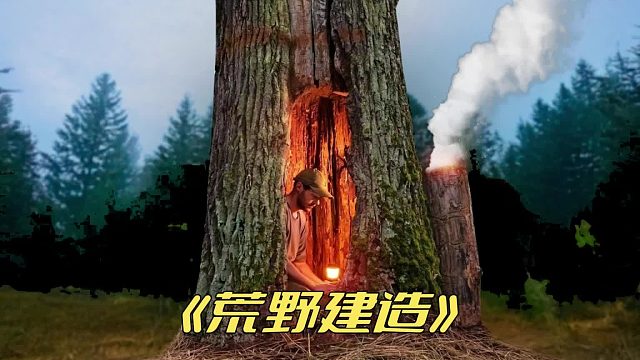 住在树洞里是种什么体验