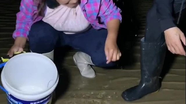 户外赶海抓海鲜