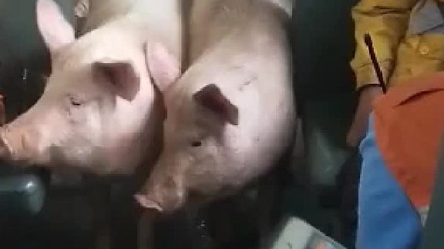 怎么买的票过的安检啊