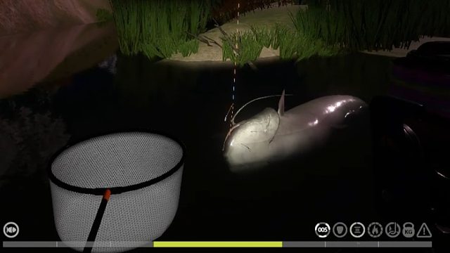 欧洲六须粘都知道，肉更好吃。