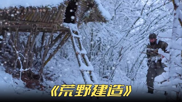 矗立在西伯利亚大森林的小树屋