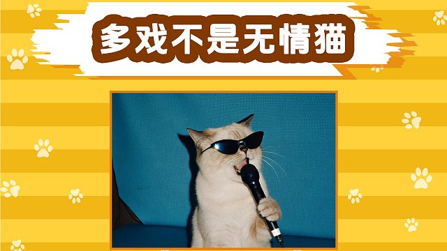 多戏不是无情猫