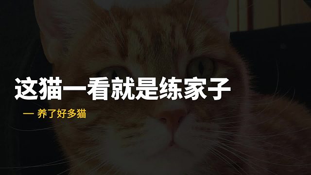要是没这板，猫猫就漂移入库了