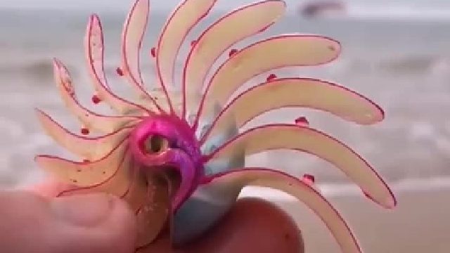 带你去体验渔民的生活