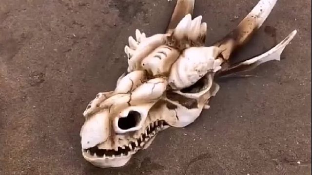 带你去体验渔民的生活