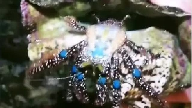 赶海赶海赶海啦