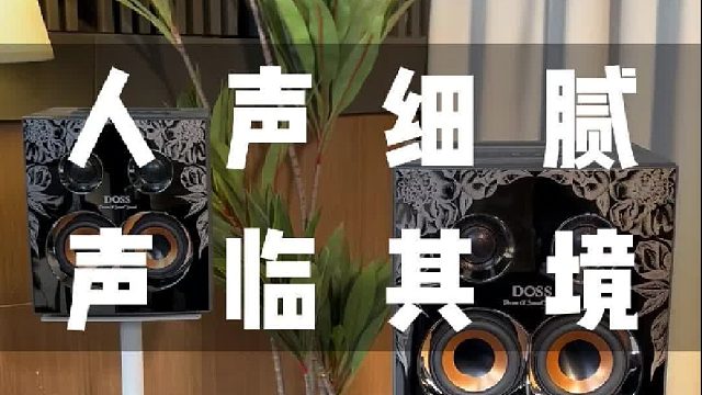 DOSS乐宴全景声音响手机实拍实测