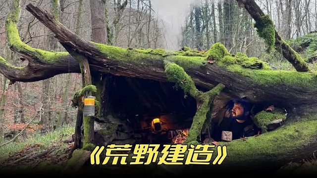 这个庇护所仅用了石板和枯树搭建而成真是方便又实用