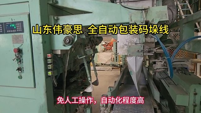 山东包装码垛线厂家 氯化钾全自动包装码垛机 山东伟豪思