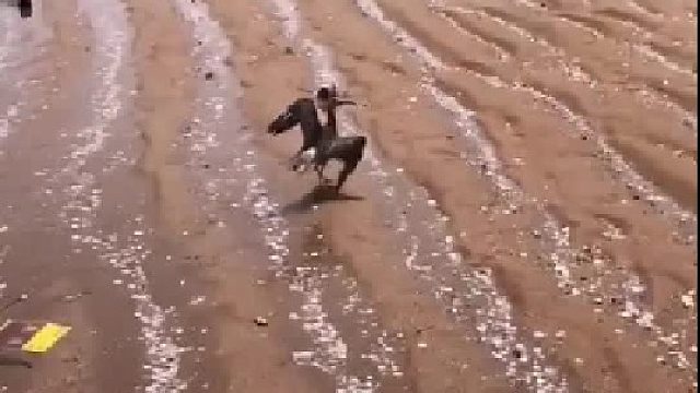 户外赶海抓海鲜