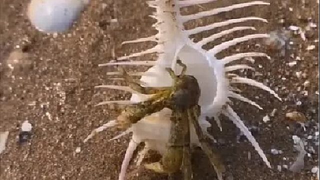 带你去体验渔民的生活