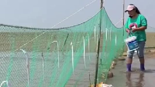 带你去体验渔民的生活