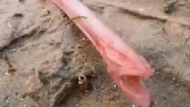 赶海赶海赶海啦