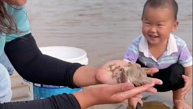 户外赶海抓海鲜