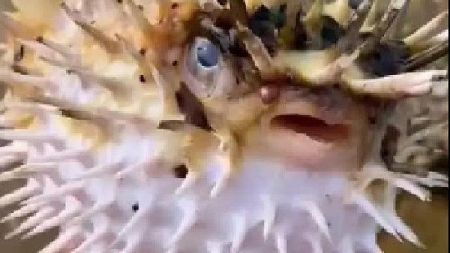 带你去体验渔民的生活