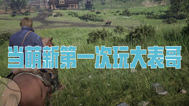 萌新第一次玩大表哥